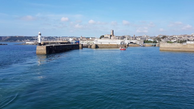 20190716_092256 copy.jpeg