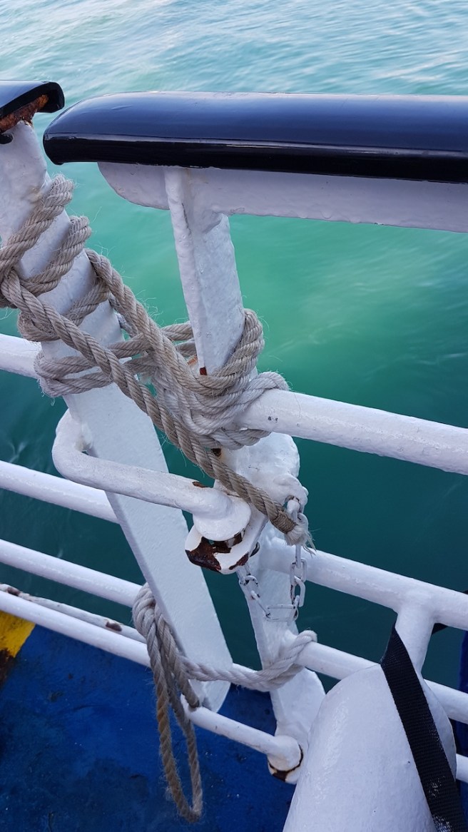 20190716_092319 copy.jpg