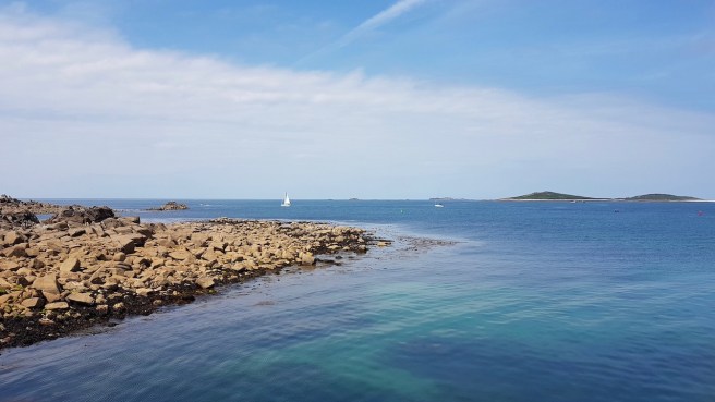 20190716_120404 copy.jpeg