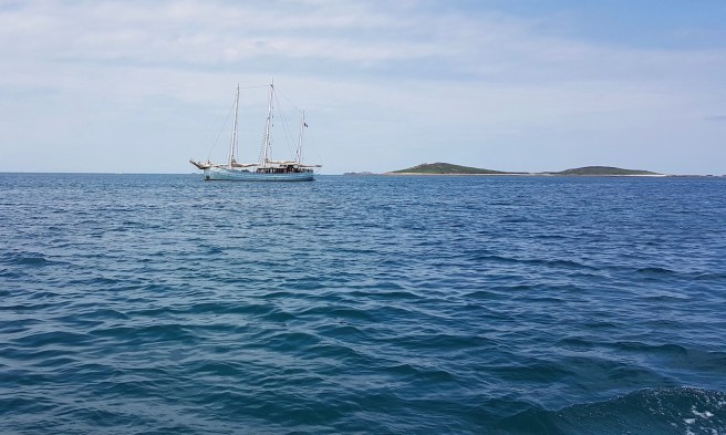 20190716_122949 copy.jpeg