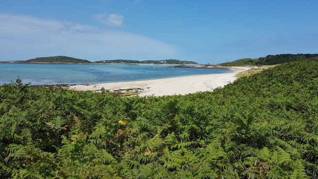 20190716_124731 copy.jpg