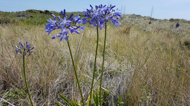 20190716_125107 copy.jpg