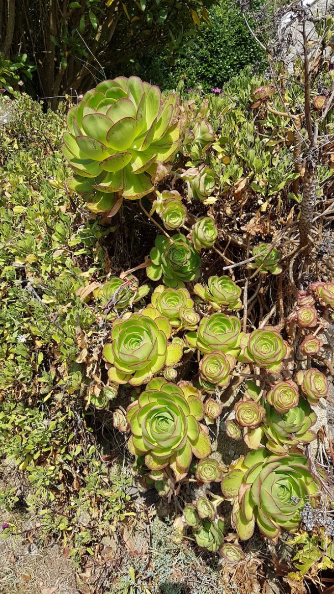 20190716_125646 copy.jpg