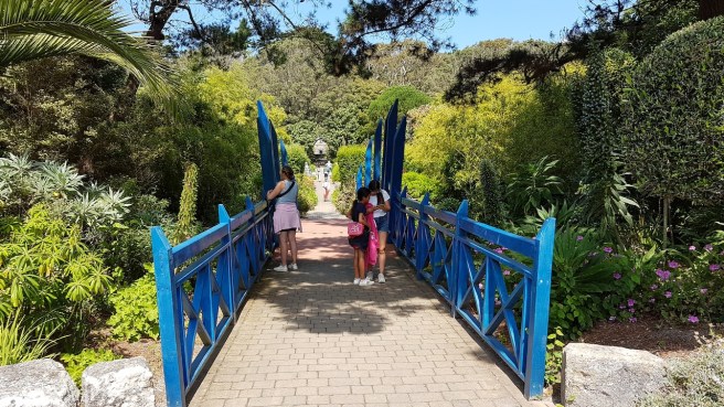 20190716_132506 copy.jpg