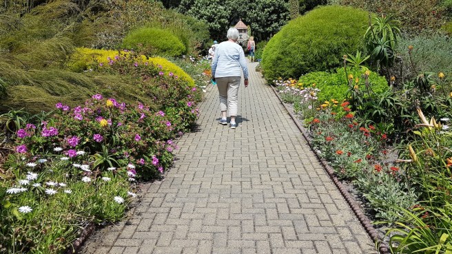 20190716_132604 copy.jpg