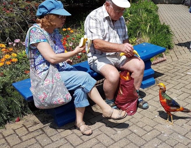 20190716_132642 copy.jpeg