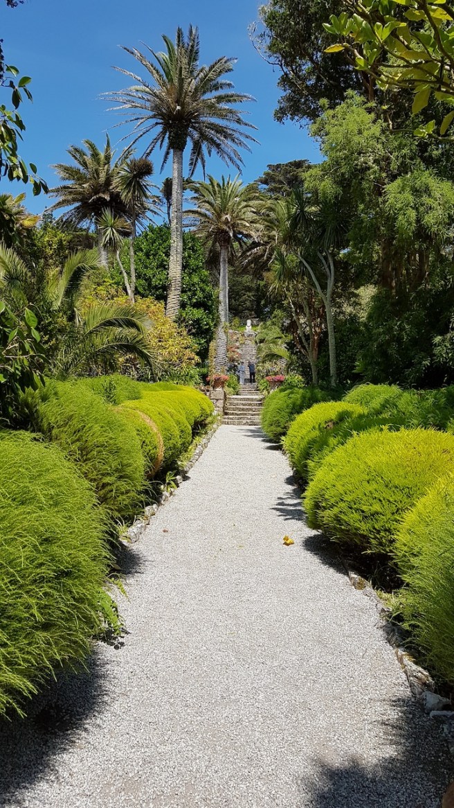 20190716_133116 copy.jpg