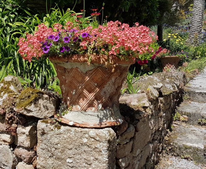 20190716_133150 copy.jpeg