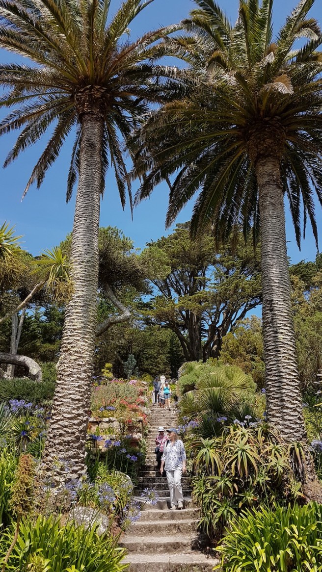 20190716_133412 copy.jpg