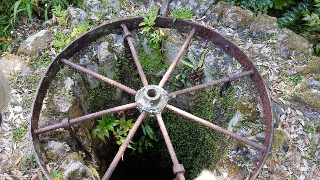 20190716_134345 copy.jpg