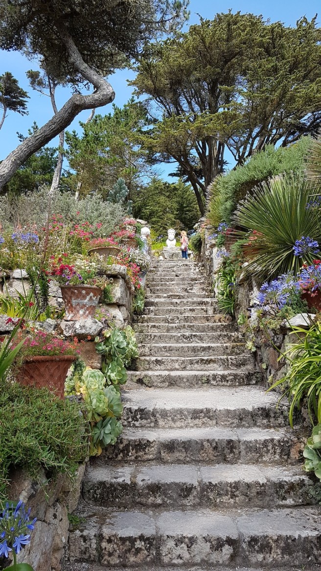 20190716_134651 copy.jpg