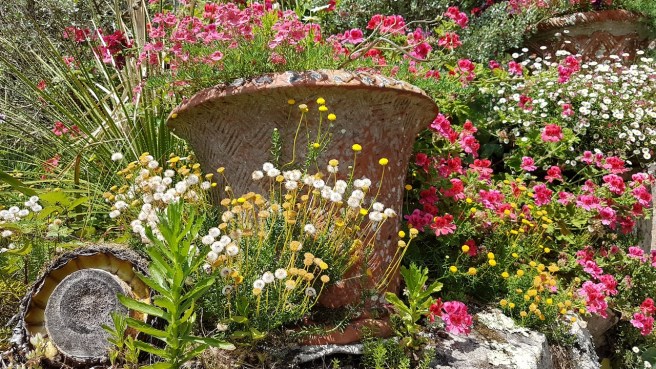 20190716_134725 copy.jpg