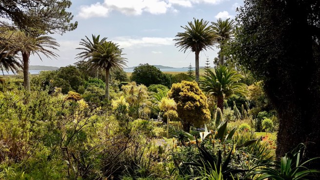 20190716_135415 copy.jpeg