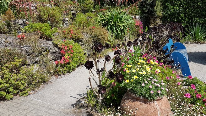 20190716_140236 copy.jpg