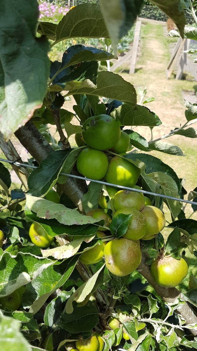 20190716_140919 copy.jpg