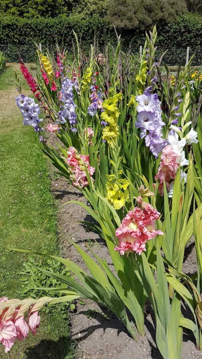 20190716_141228 copy.jpg