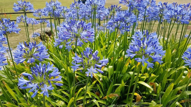 20190716_142027 copy.jpg