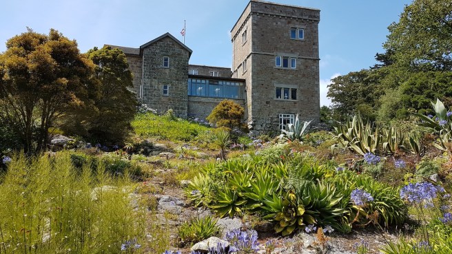 20190716_142445 copy.jpg