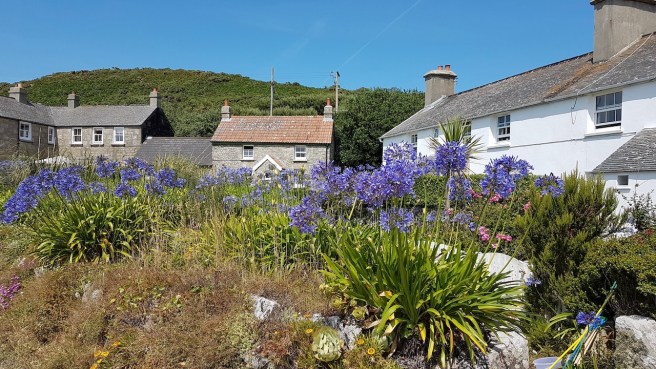 20190716_150912 copy.jpeg