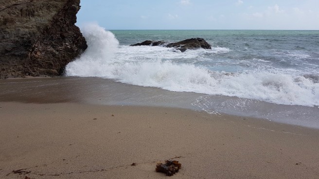 20190810_162034 copy.jpeg