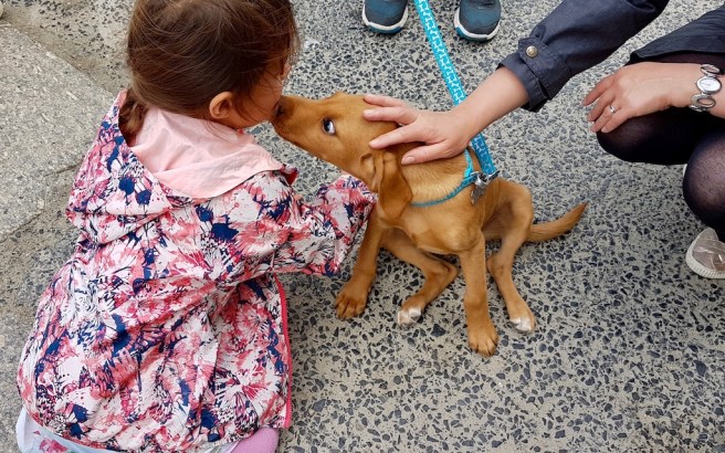 20190813_151348 copy.jpeg