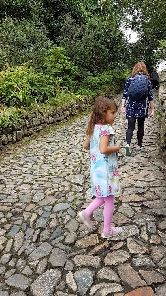 20190813_161223 copy.jpg