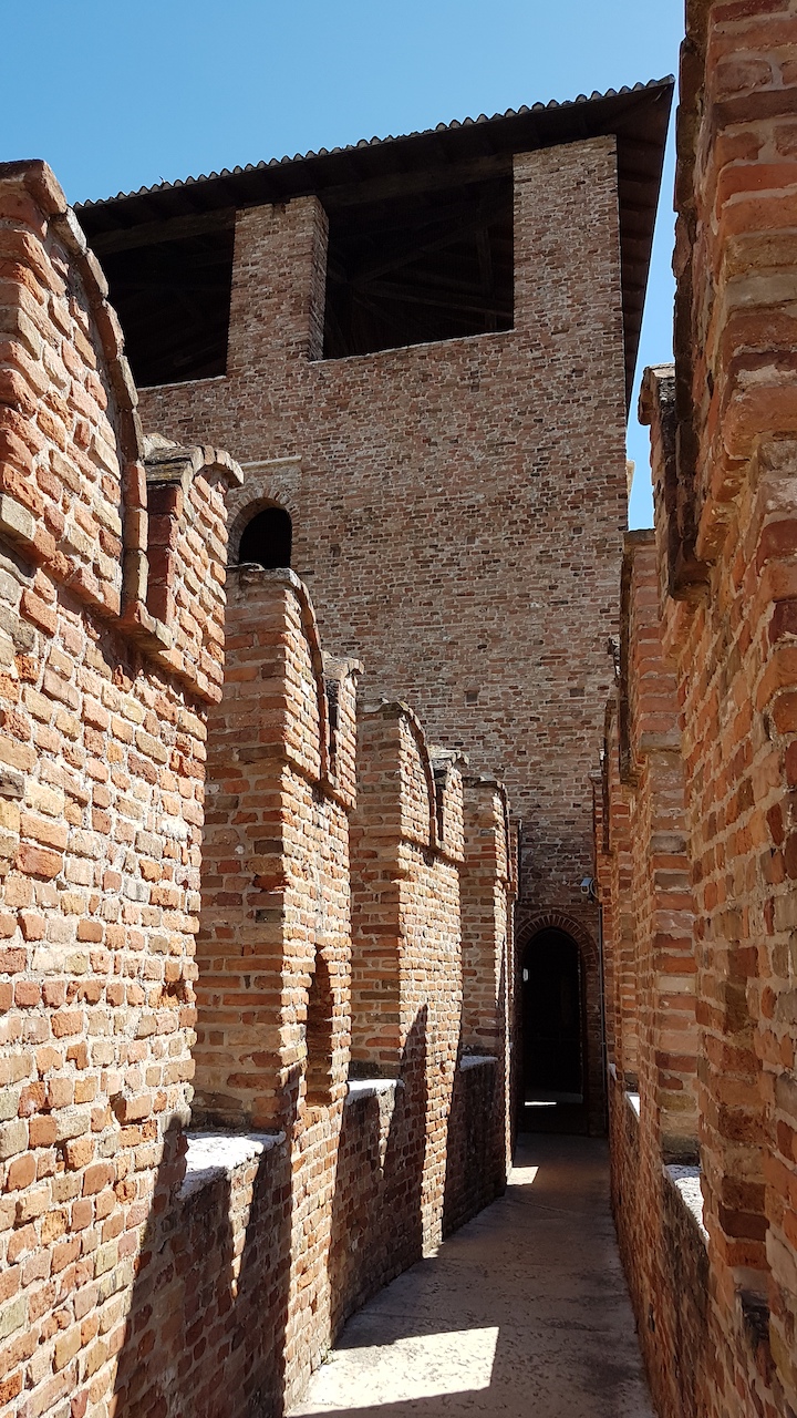 20190903_133914 copy.jpg