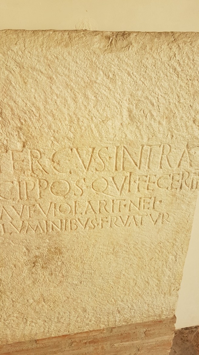 20190903_163913 copy.jpg