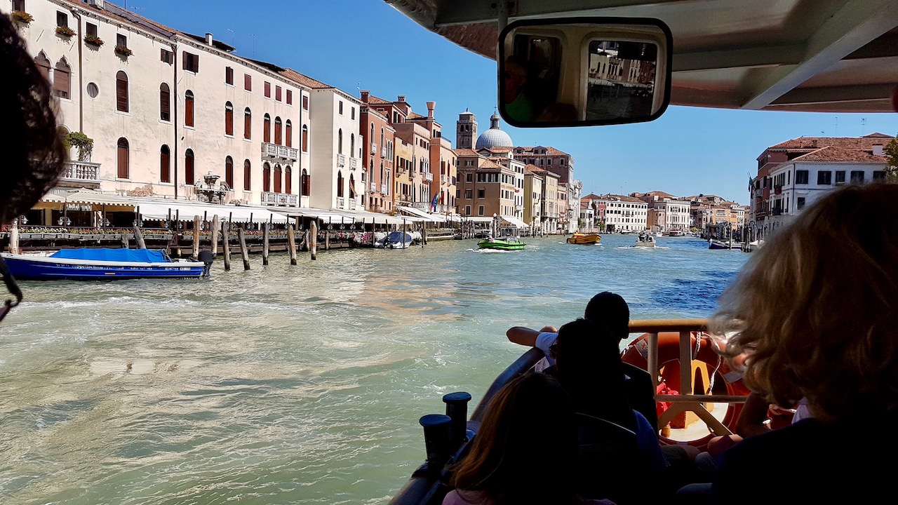 20190905_114103 copy.jpeg