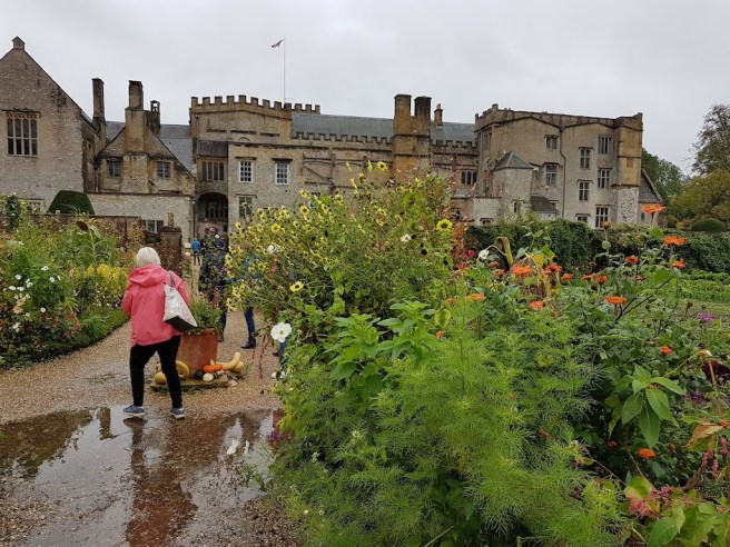 20191011_122337 copy.jpg