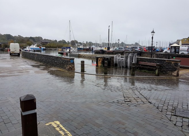 20191012_120639 copy.jpg