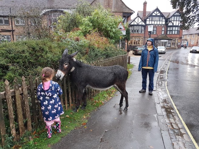 20191012_170023 copy.jpg