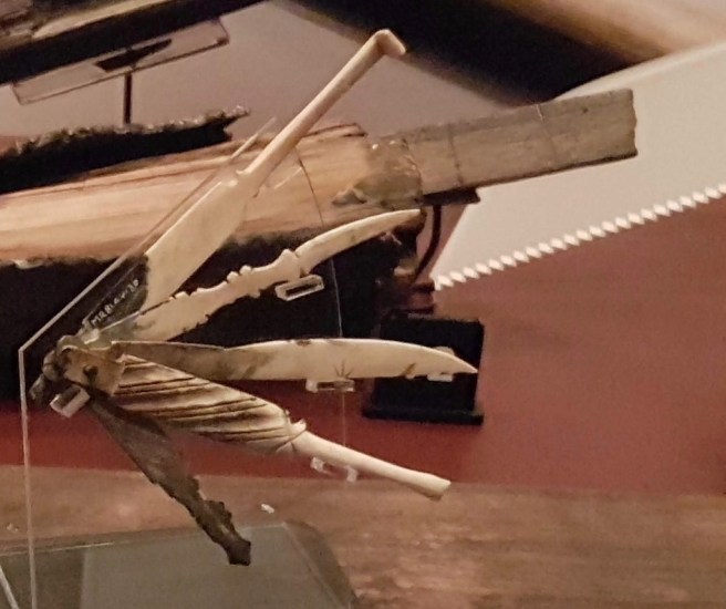 20191014_155644 copy.jpeg