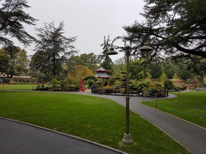 20191015_110406 2 copy.jpg