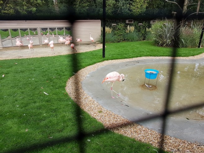 20191015_114258 copy 2.jpg