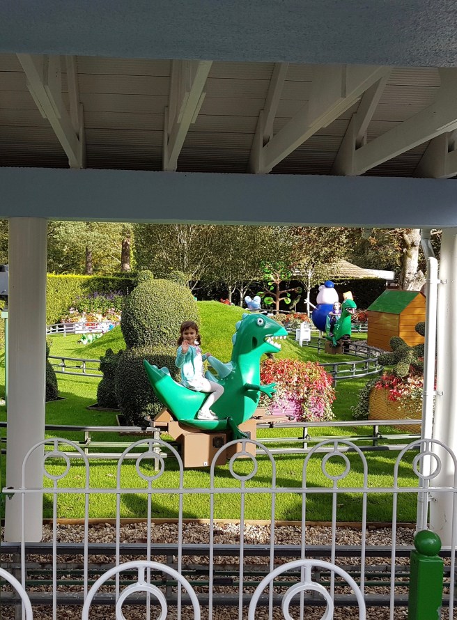 20191015_150527 2 copy.jpeg