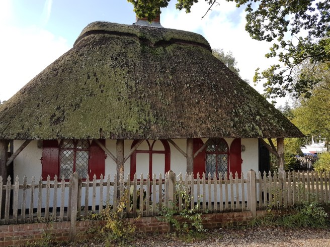 20191016_115154 copy.jpg