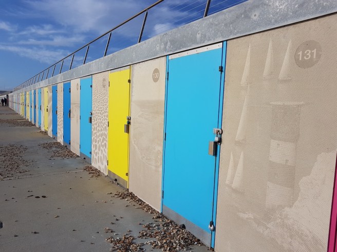 20191016_155431 copy.jpg