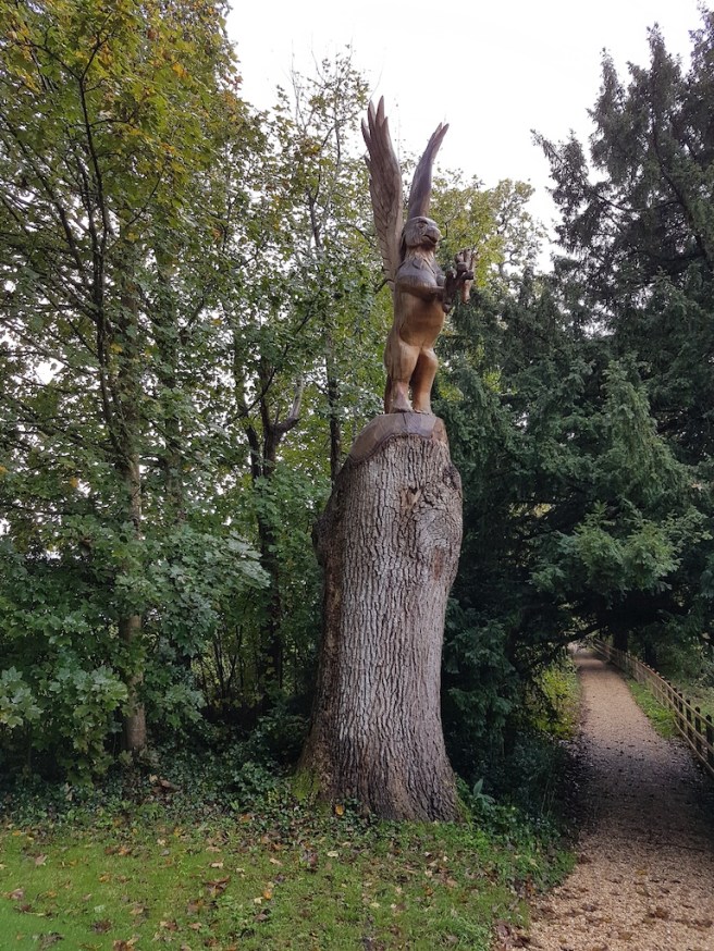 20191017_113031 copy.jpg