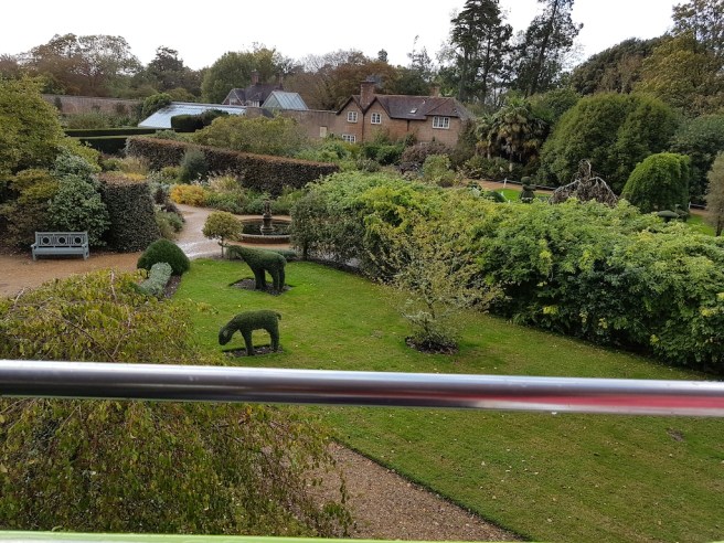 20191017_155652 copy 2.jpg