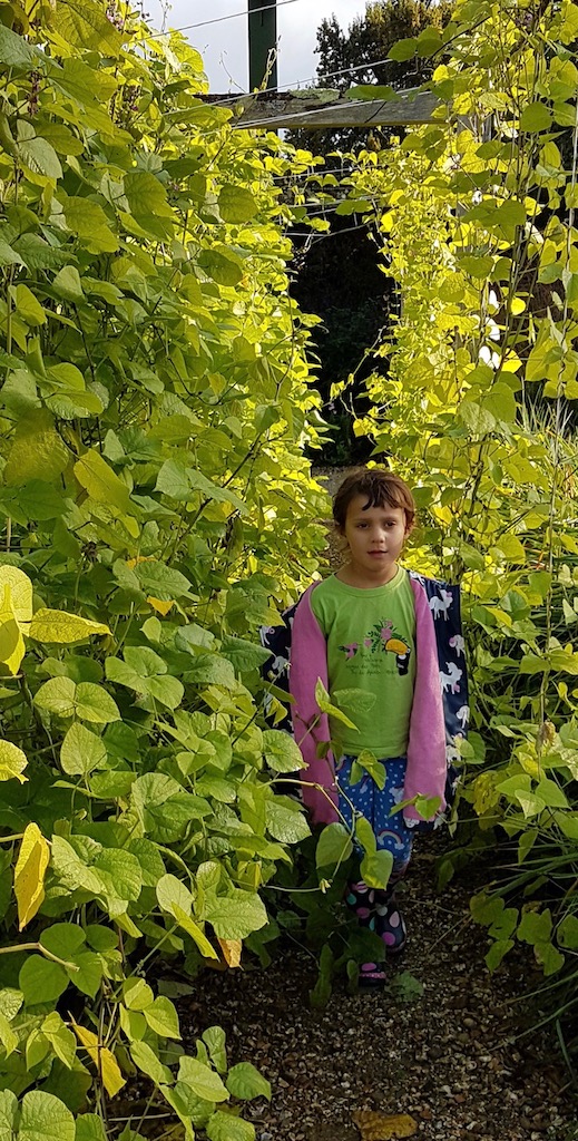 20191017_161639 copy 2.jpeg